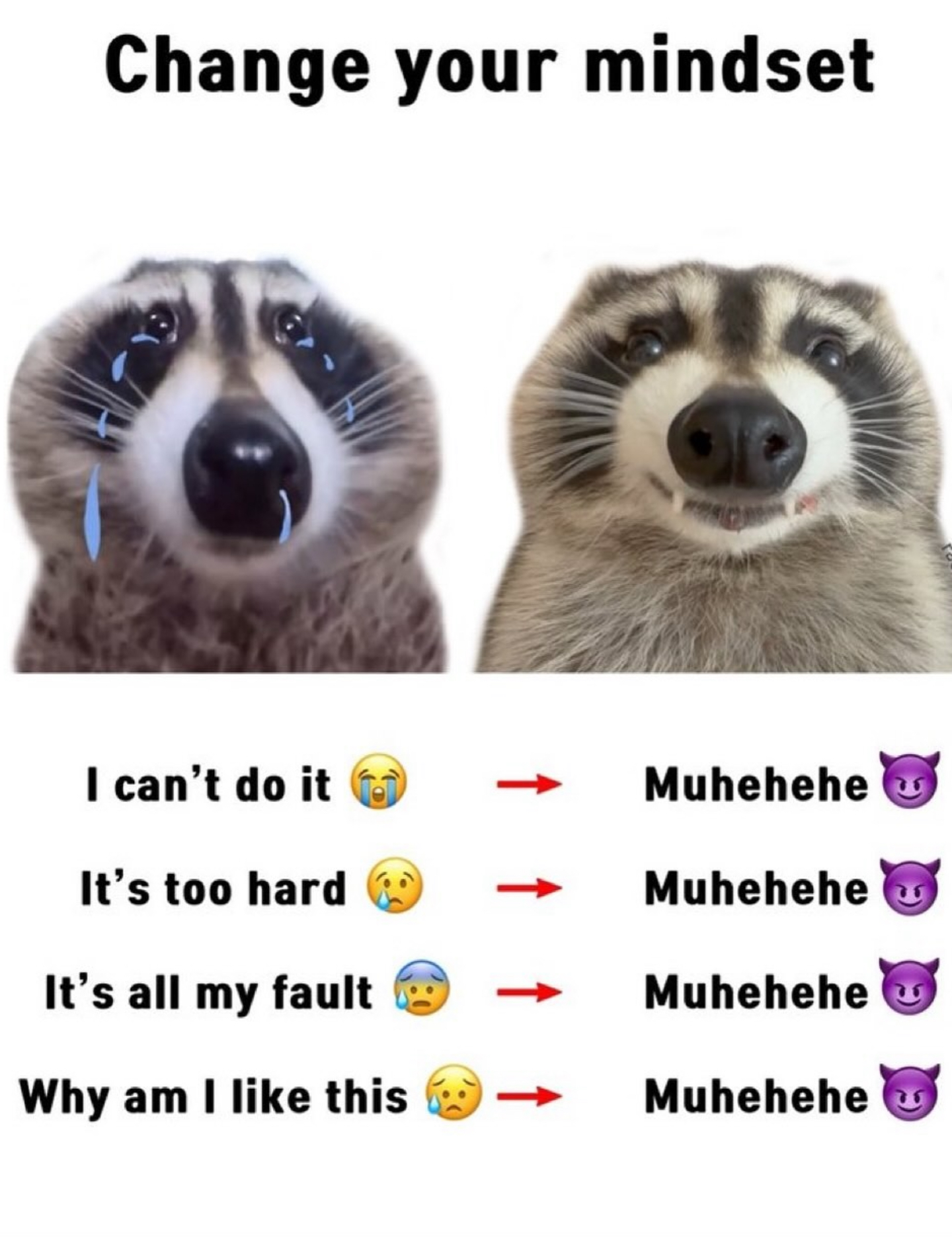 ‘Change your mindset’ meme: a crying raccoon and a grinning raccoon, with ‘I can’t do it / It’s too hard / It’s all my fault / Why am I like this’ all turning into ‘Muhehehe 😈’.